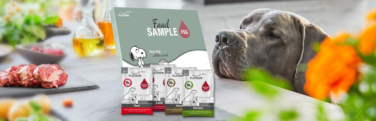 Próbka karmy dla psa